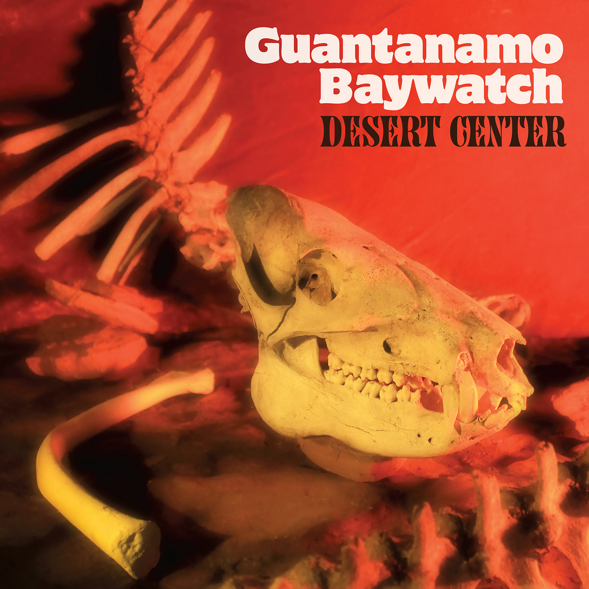 Guantanamo Baywatch • <i>Desert Center</i>
