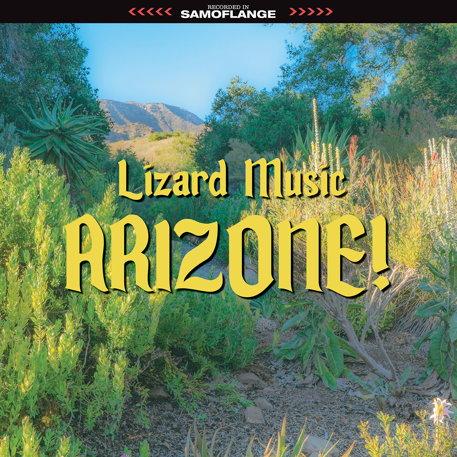 Lizard Music • <i>Arizone!</i>